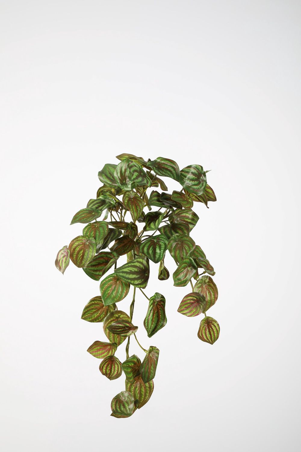 UV Kunstplant Watermelon Peperomia 52 cm – Buitenplant UV Bestendig