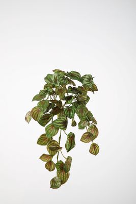 UV Kunstplant Watermelon Peperomia 52 cm – Buitenplant UV Bestendig