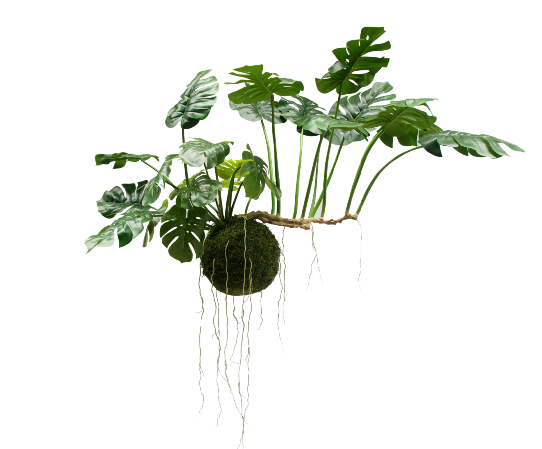 Silk-ka Monstera Hangplant Groen 80 cm – Grote luxe kunst hangplant