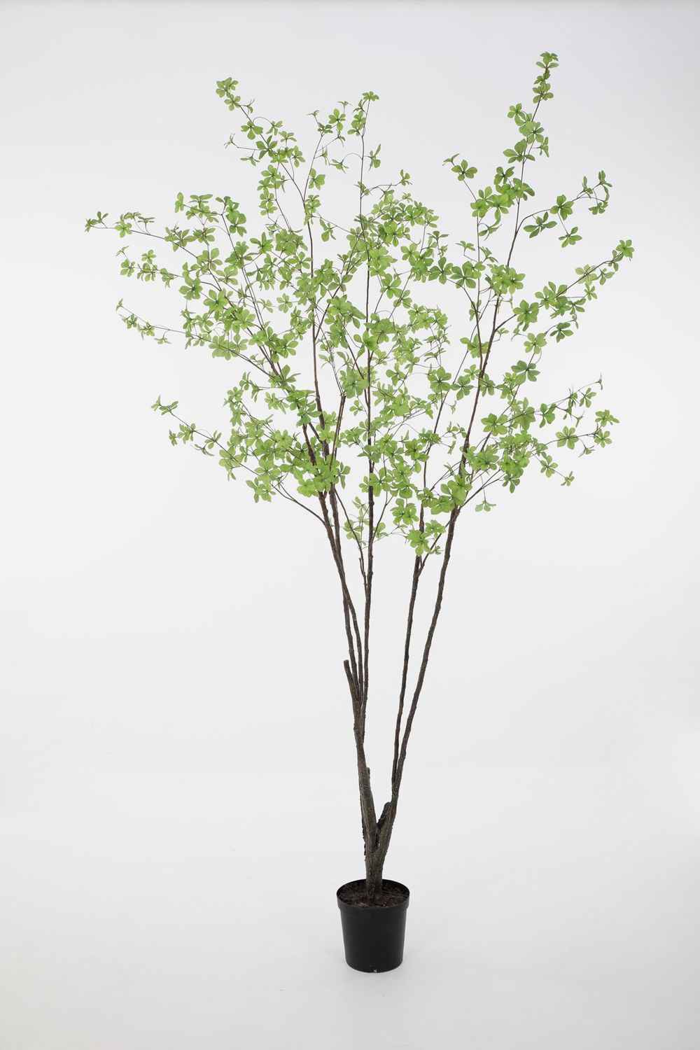 Grote Kunstboom 244 cm – Small Leaves Groen
