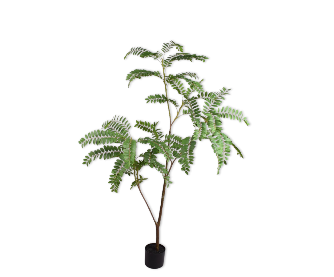 Silk-ka Mimosa Kunstplant 150 cm | Groen