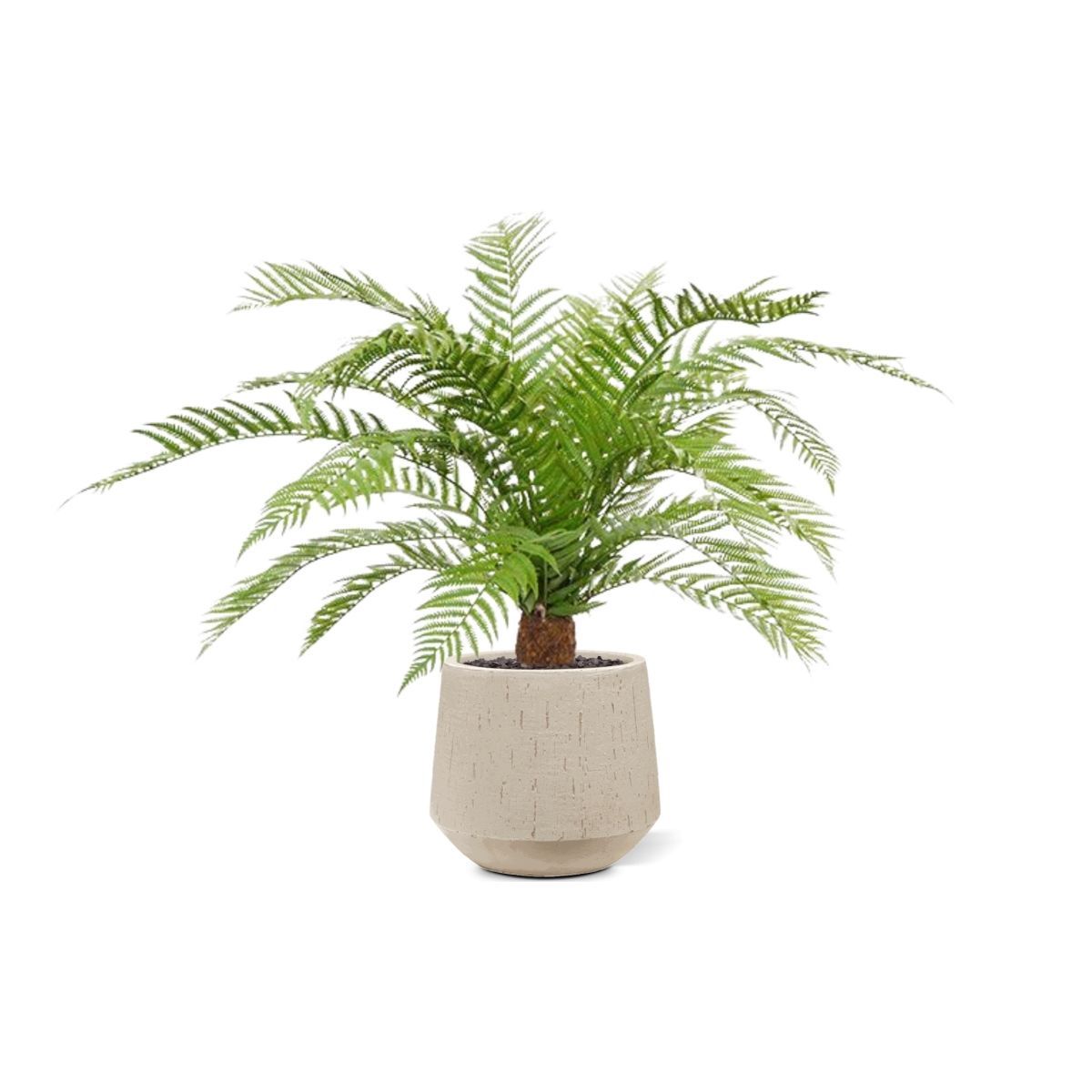 Alsophila Boomvaren Kunstplant voor Buiten 80 cm | UV-bestendig