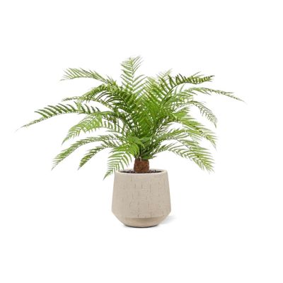 Alsophila Boomvaren Kunstplant voor Buiten 80 cm | UV-bestendig