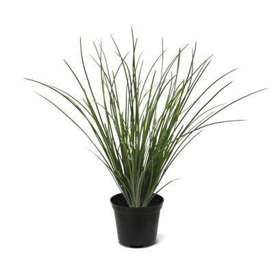 Kunst Siergras voor Buiten 40 cm | UV-bestendig