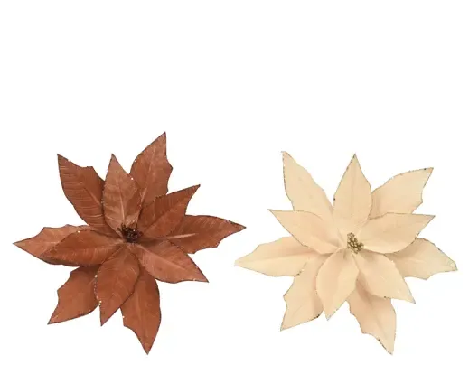 Fluwelen Kerststerren op Clip – Bruin of Crème | 35 cm
