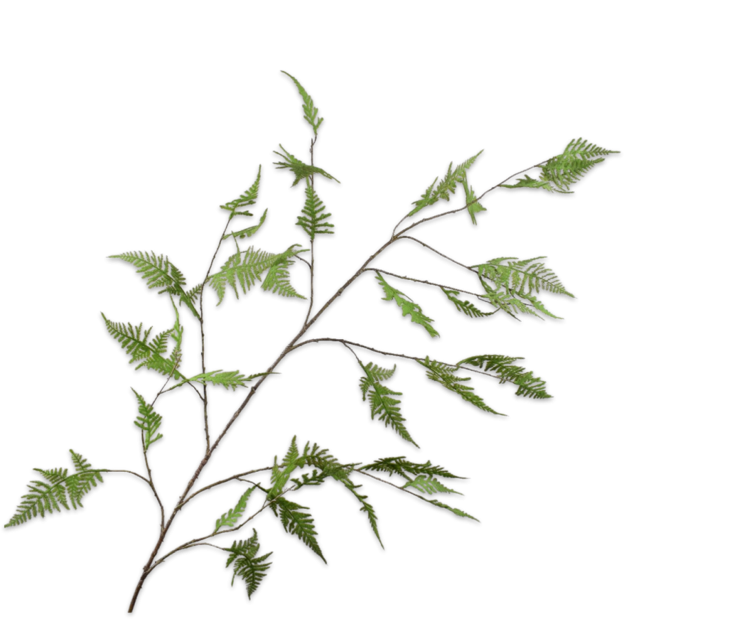 Asparagus Kunsttak Groen 172 cm – Grote Luchtige Groene Kunsttak