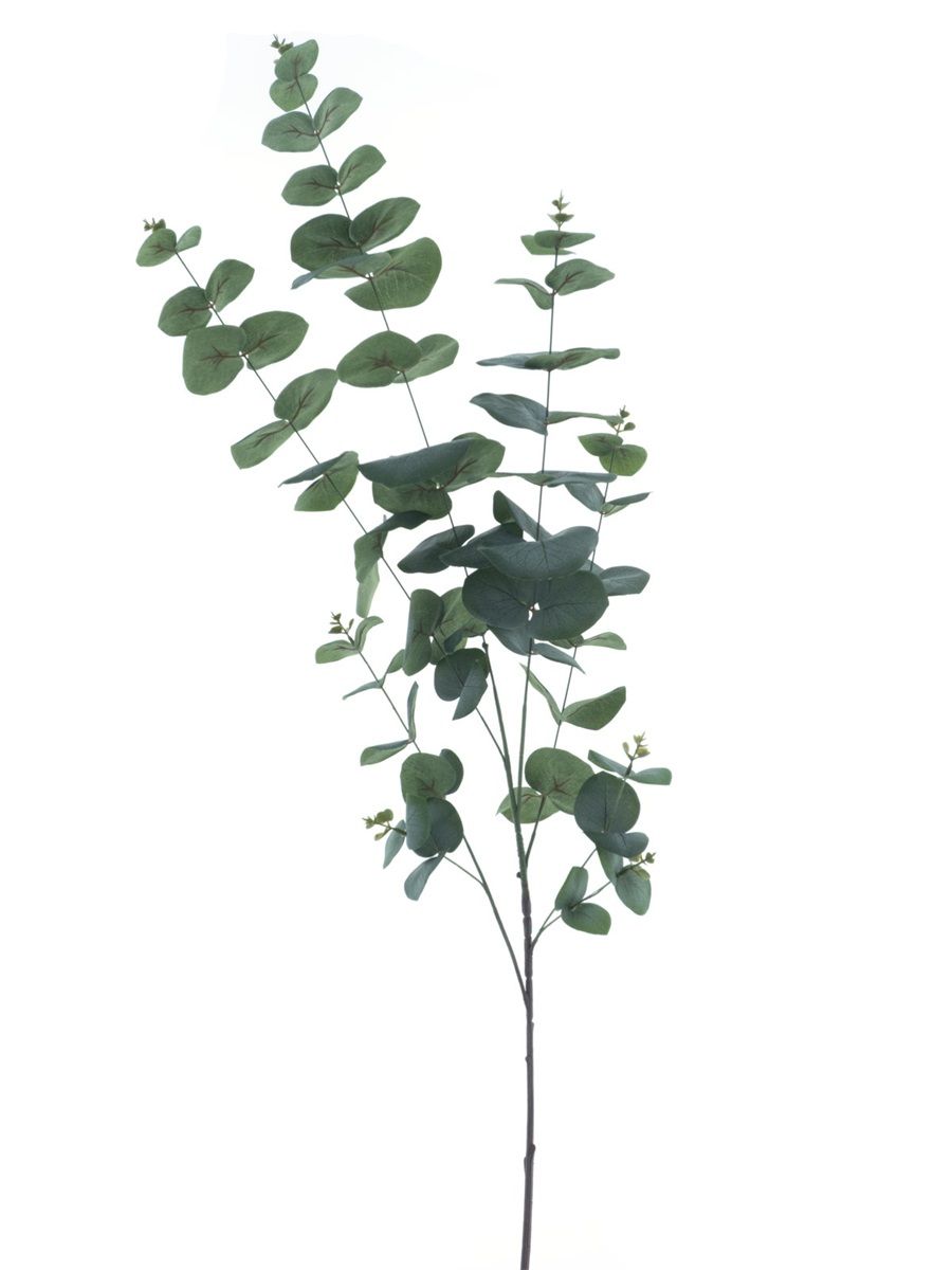 Eucalyptus Kunsttak Groen 120 cm – Grote Decoratieve Eucalyptustak