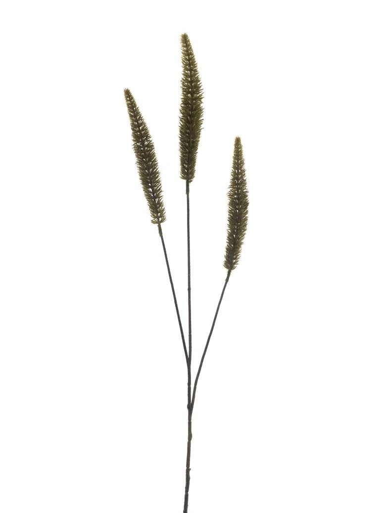 Vossenstaart Kunsttak Groen 88 cm – Kunst Siergras met 3 Aren