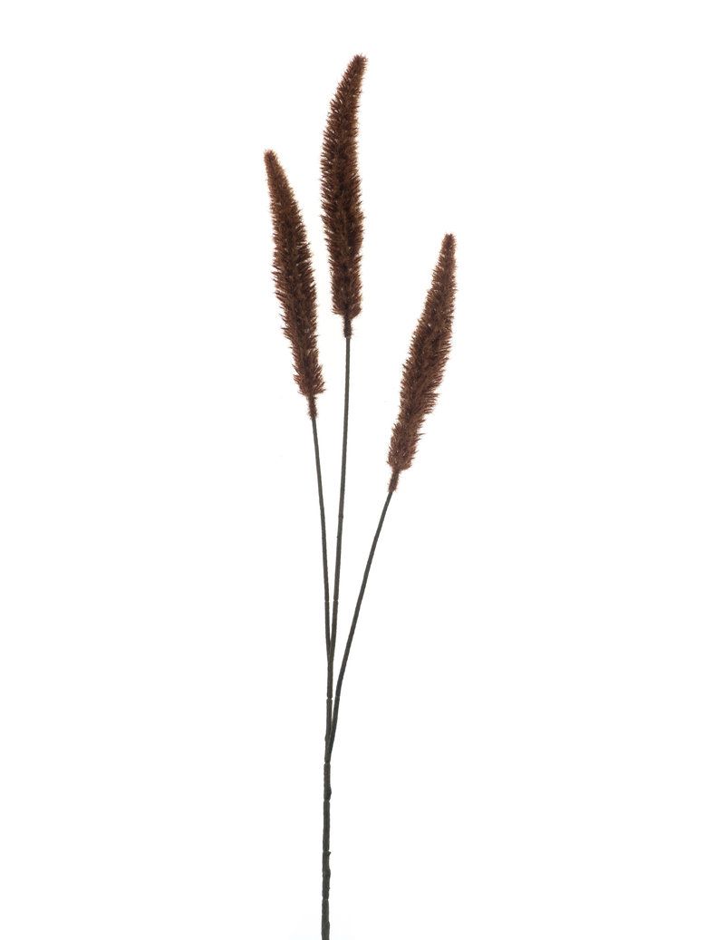 Dogtail grass spray brown 88cm