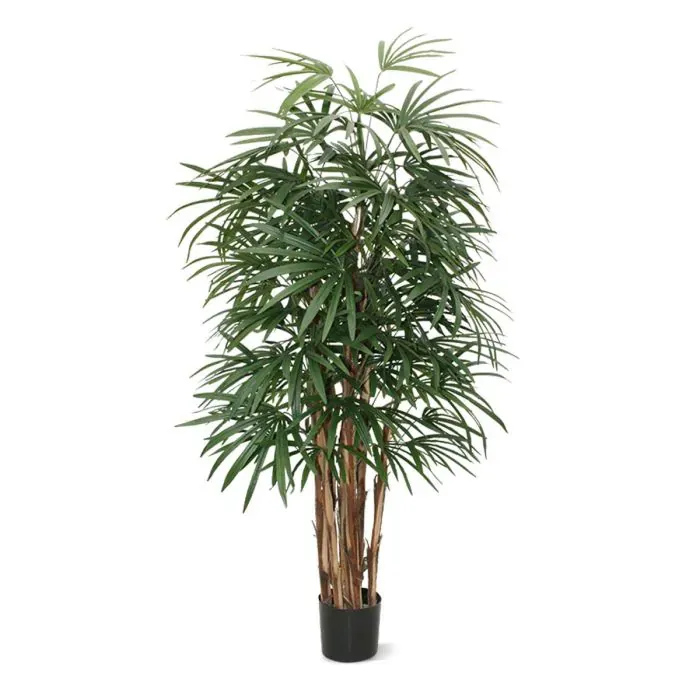 Rhapis Kunstpalm Deluxe 160 cm | Oasegroen