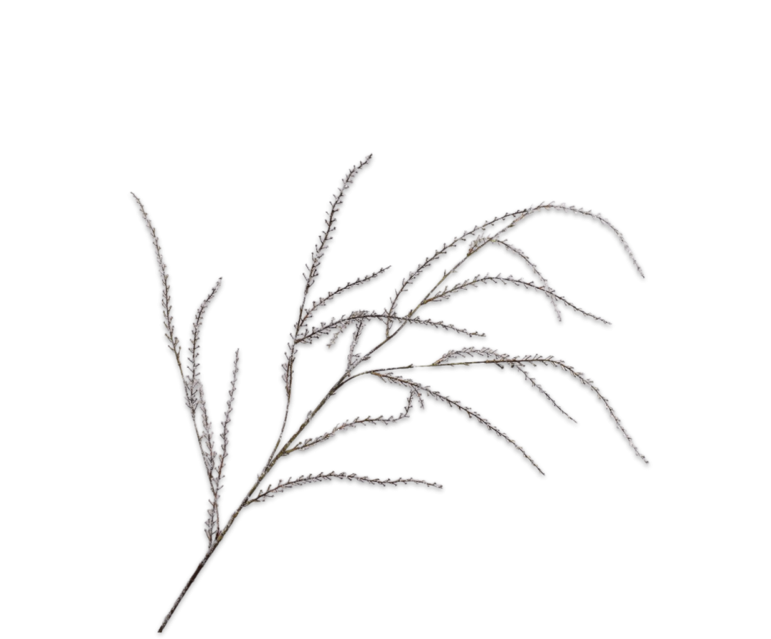 Silk-ka Wilgentak Grijs – 134 cm