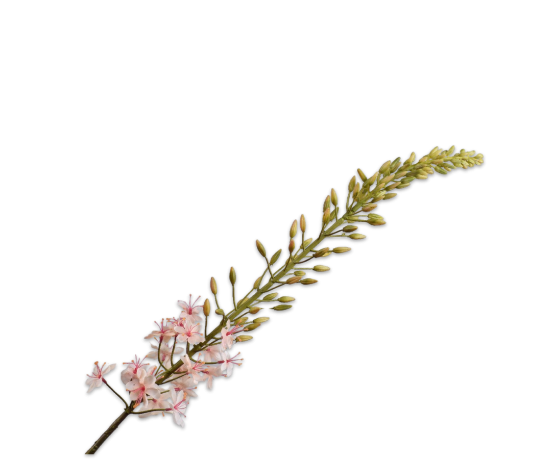 Silk-ka Eremurus Kunstbloem Perzik – 107 cm