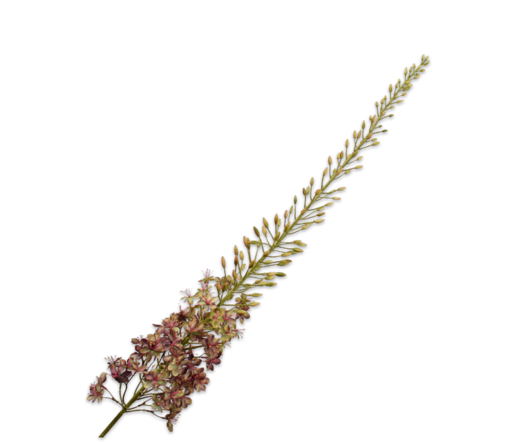 Silk-ka Eremurus Kunstbloem Paars/Groen – 149 cm