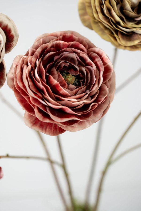 Silk-ka Ranonkel Kunstbloem Donkerrood – 62 cm