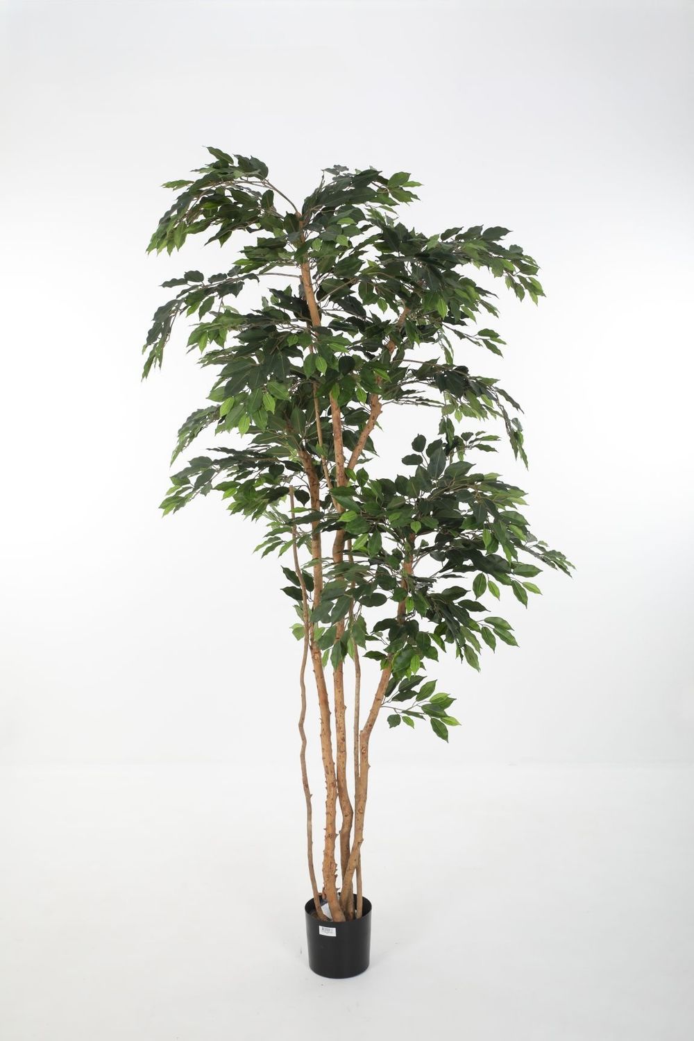 Fat Ficus Kunstboom – 240 cm