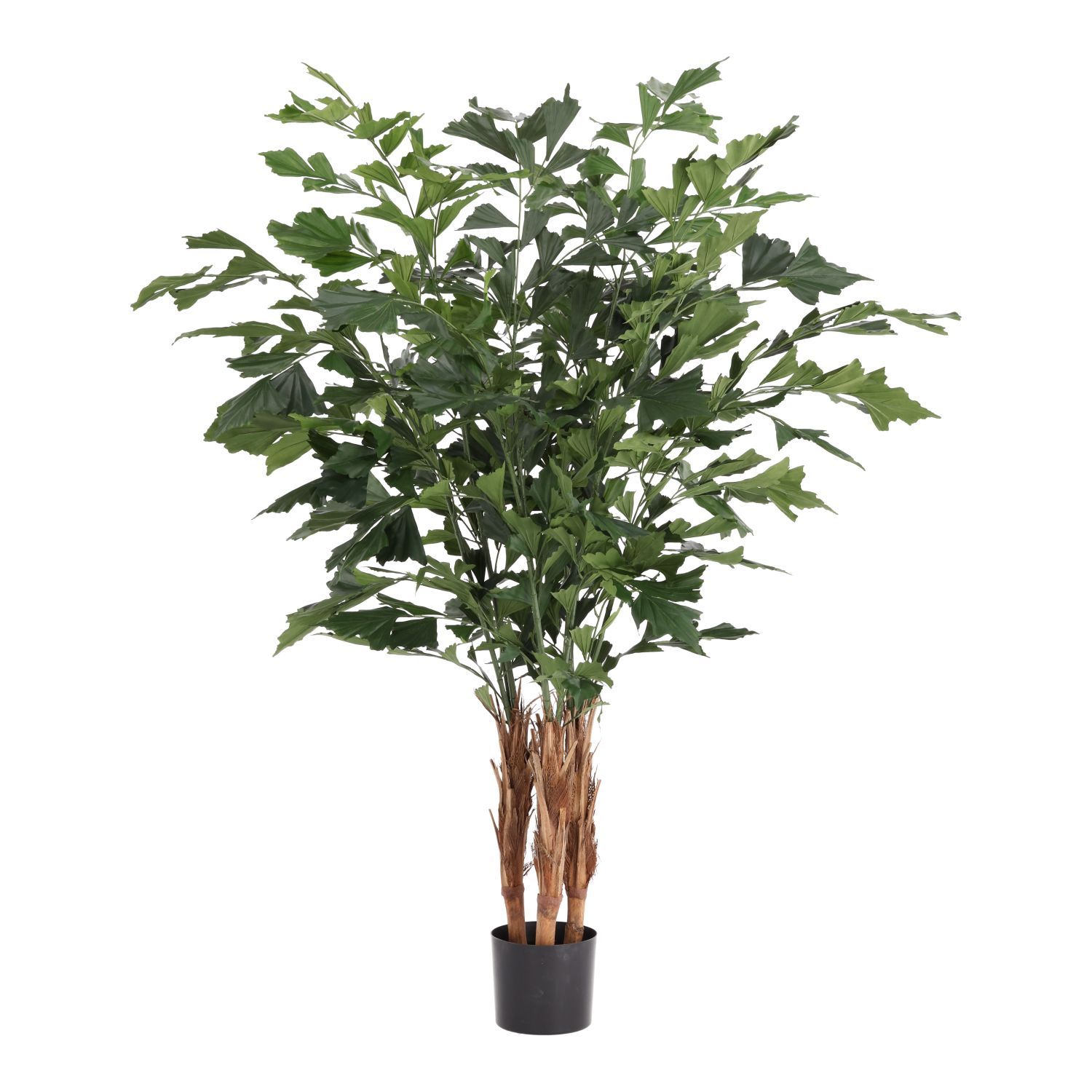 Fishtail Deluxe Kunstpalm – 160 cm
