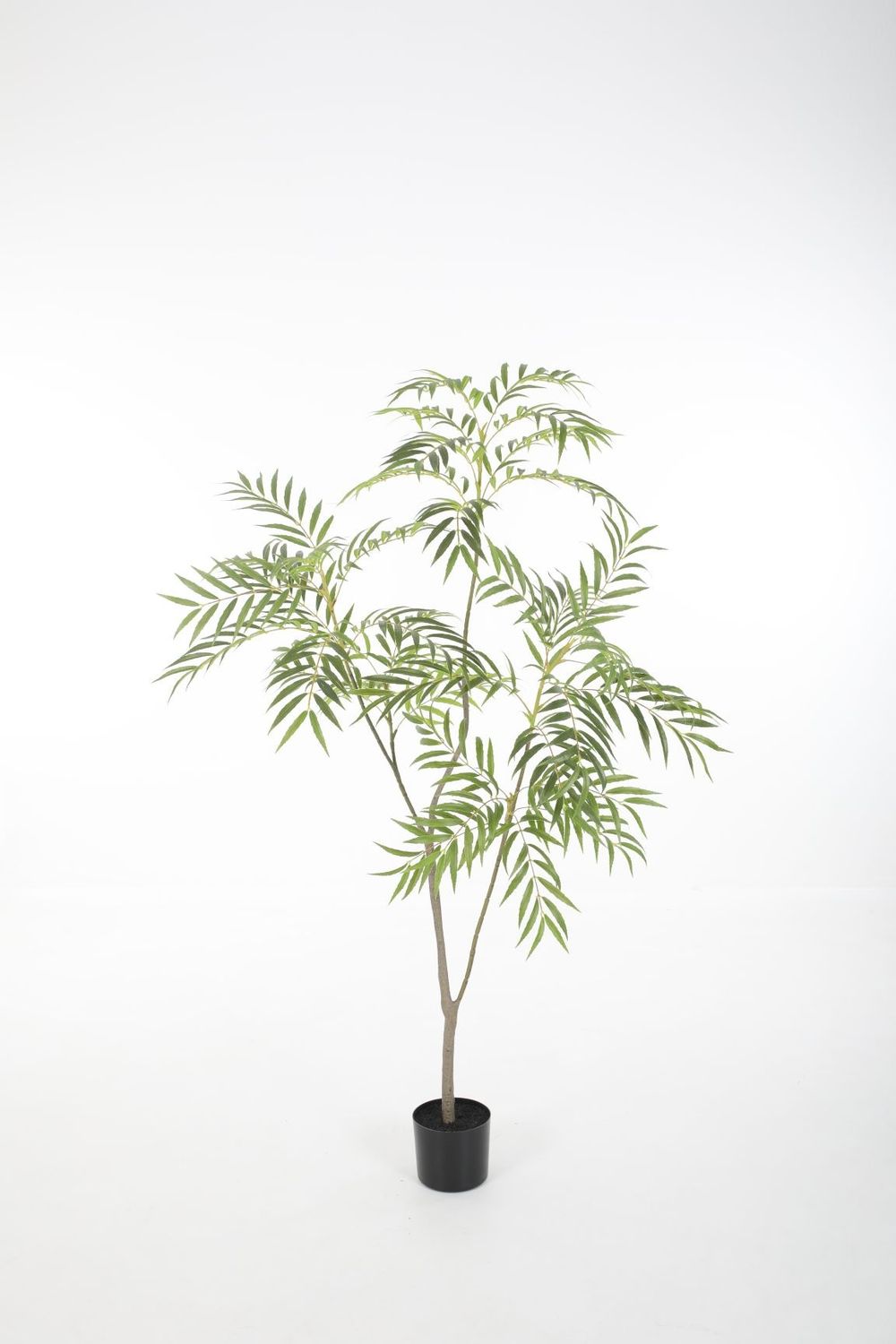 Chamaedorea Palm Kunstplant – 150 cm