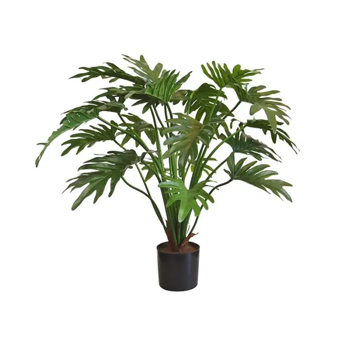 Philo Xanadu Kunstplant – 65 cm