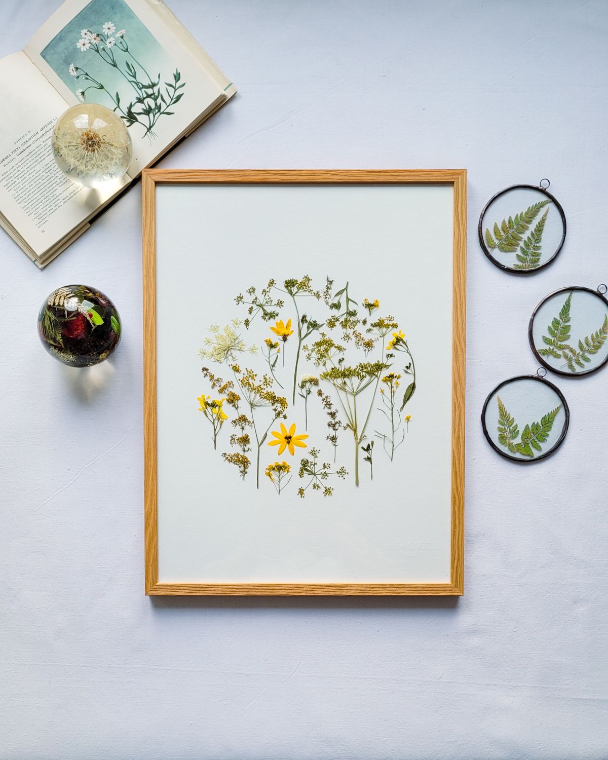 DUŻY NACHYŁKOWY DZIKI OGRÓD