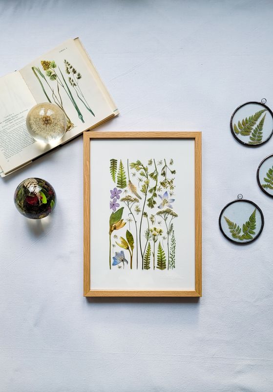 MAŁY OSTRÓŻKOWY DZIKI OGRÓD