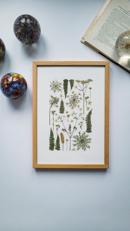 MAŁY PAPROCIOWY DZIKI OGRÓD