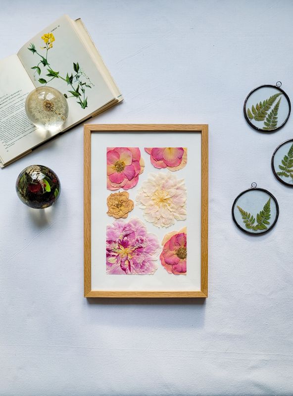 MAŁY PIWONIOWY DZIKI OGRÓD