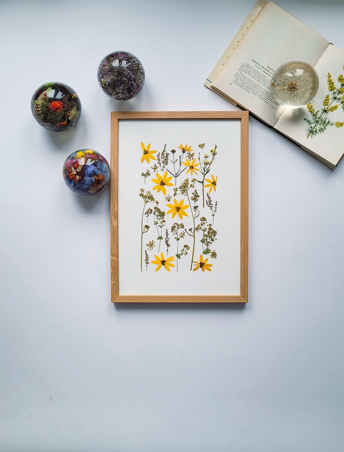 MAŁY NACHYŁKOWY DZIKI OGRÓD