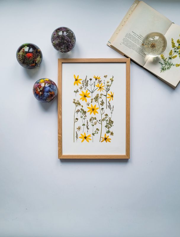 MAŁY NACHYŁKOWY DZIKI OGRÓD