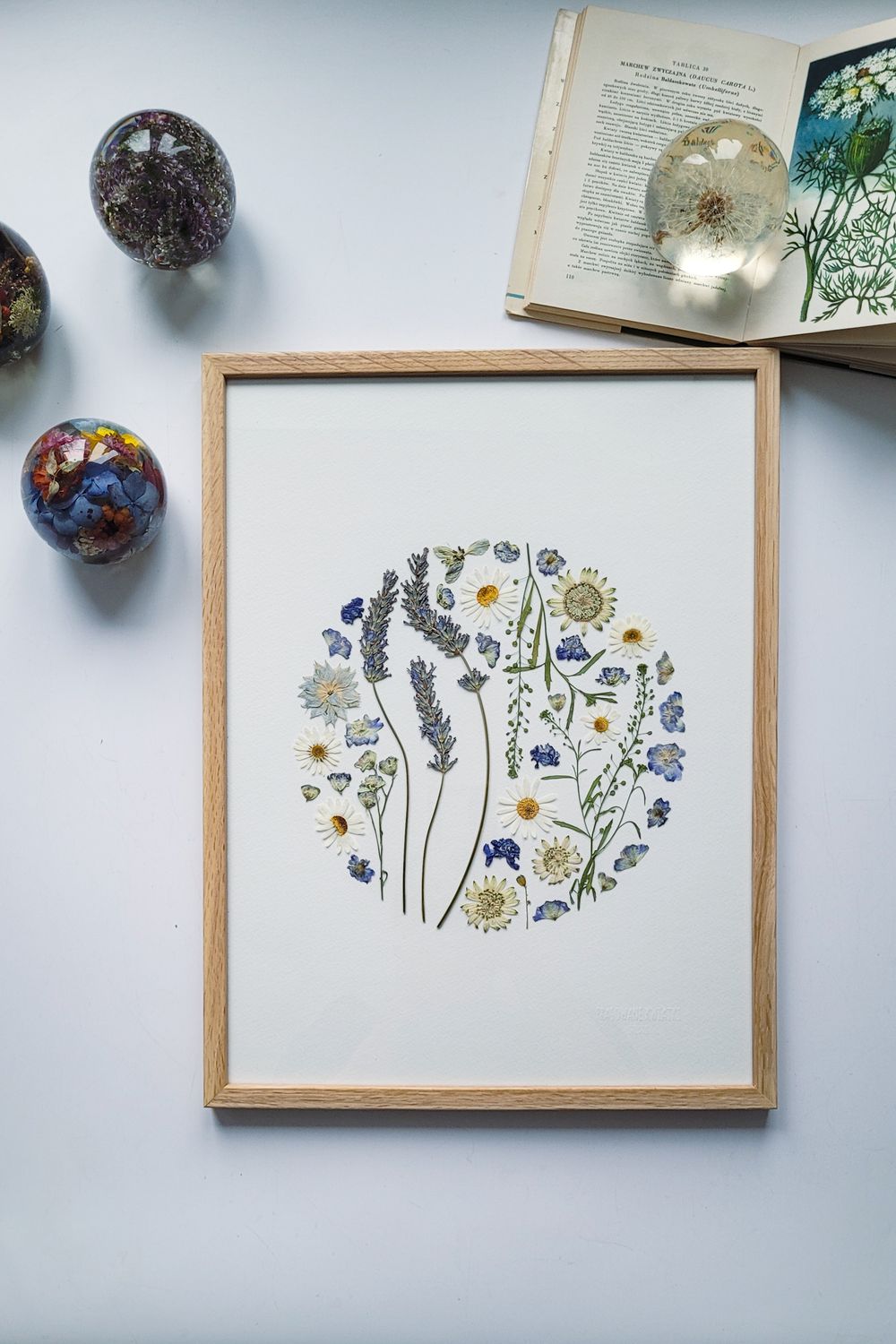 DUŻY LAWENDOWY DZIKI OGRÓD