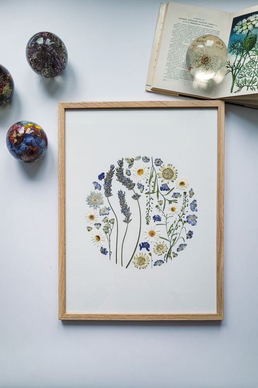 DUŻY LAWENDOWY DZIKI OGRÓD