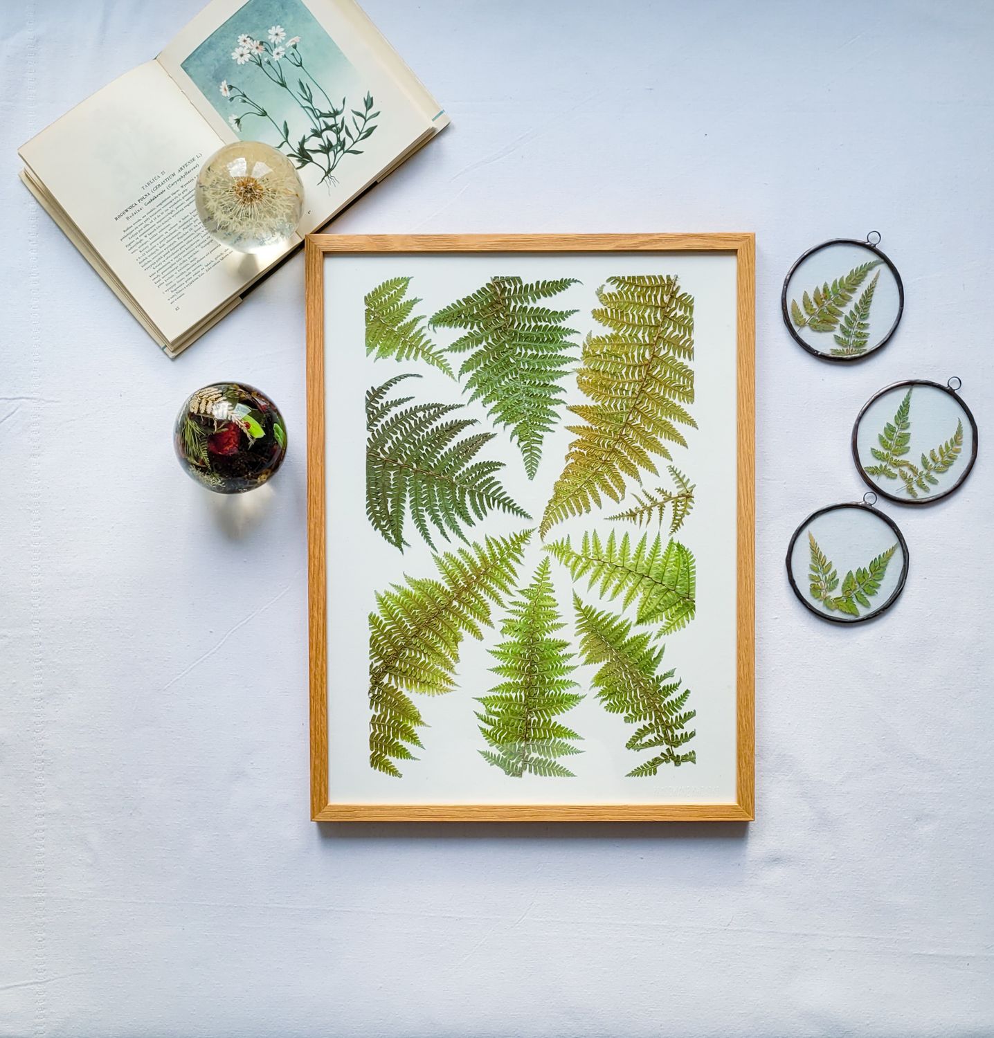 DUŻY PAPROCIOWY DZIKI OGRÓD