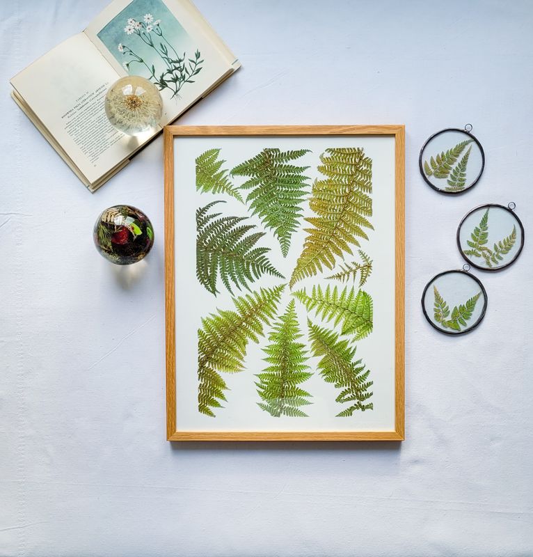 DUŻY PAPROCIOWY DZIKI OGRÓD