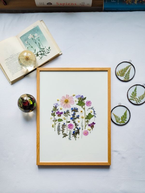 DUŻY KOSMOSOWY DZIKI OGRÓD