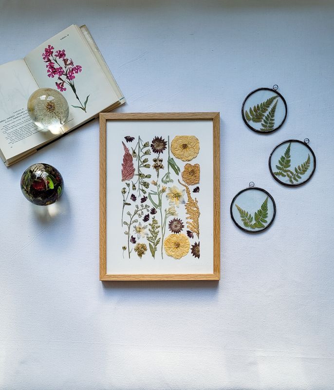 MAŁY RÓŻANY DZIKI OGRÓD