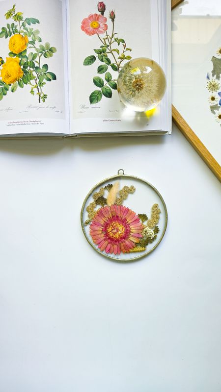 Pomarańczowa gerbera