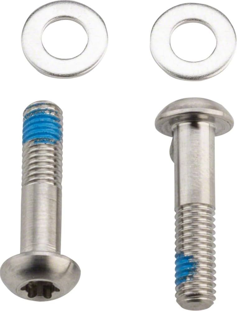 Bracket Mounting Bolts - Stainless T25 32mm (2 Pcs) - Flat Mount Caliper