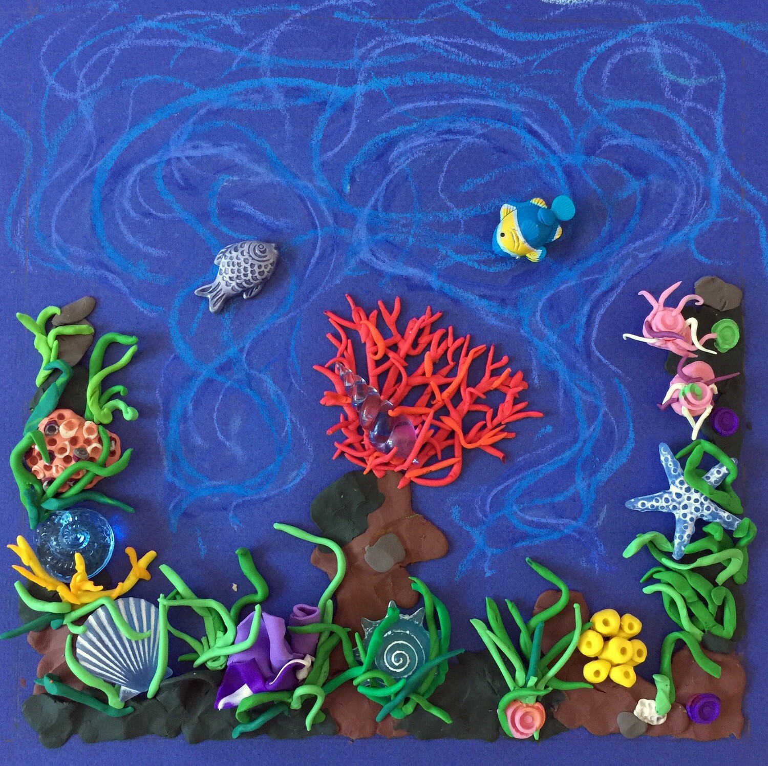 Sea Garden, photograph mounted on an aluminum base(dibond), 25 x 25 cm
