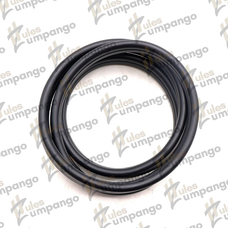 GOMA LATERAL CARIBE