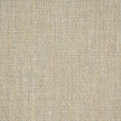 Sunbrella® Rochelle Pebble 44193-0021