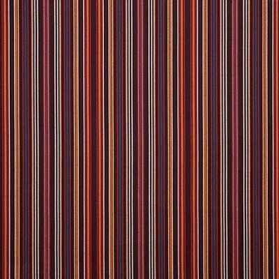 Sunbrella® - Cultivate Tandoori 56106-0000