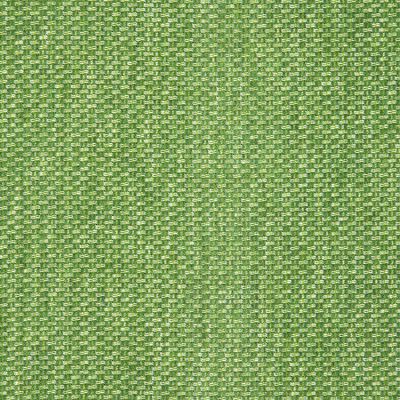 Sunbrella® - Tailored Cilantro 42082-0024