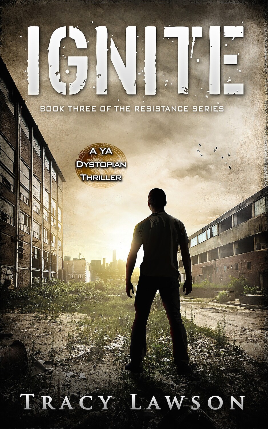 Paperback Ignite: Book Three of the Resistance Series (signed)