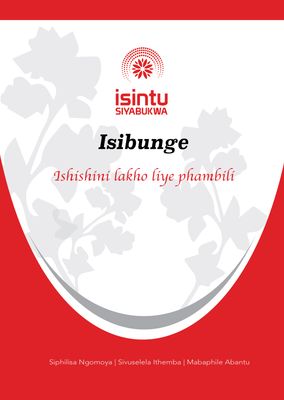 Isibunge seBusiness