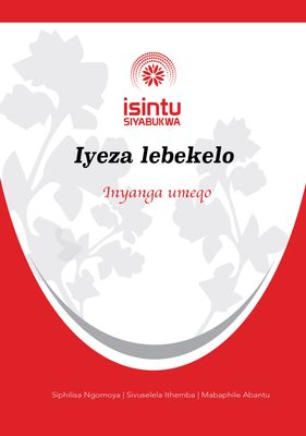 Iyeza lebekelo