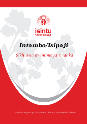 Intambo/Isipaji