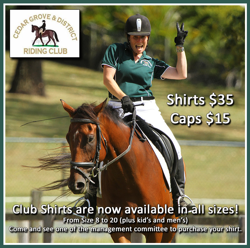 Ladies Club Shirt