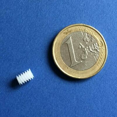 Worm M0.3 for 1mm shaft (large)