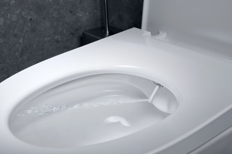 CUVETTE WC LAVANTE NEOPERL LAVALINO