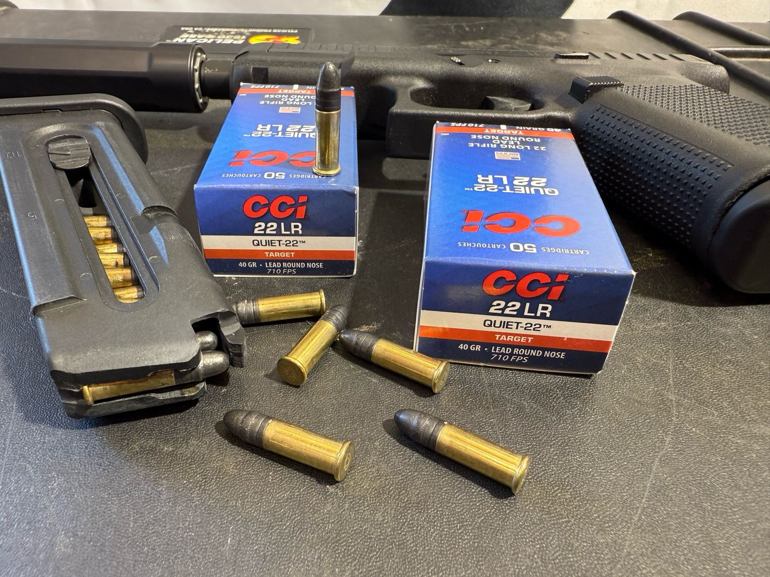 Quiet- 22 LR 40gr Lead Nose