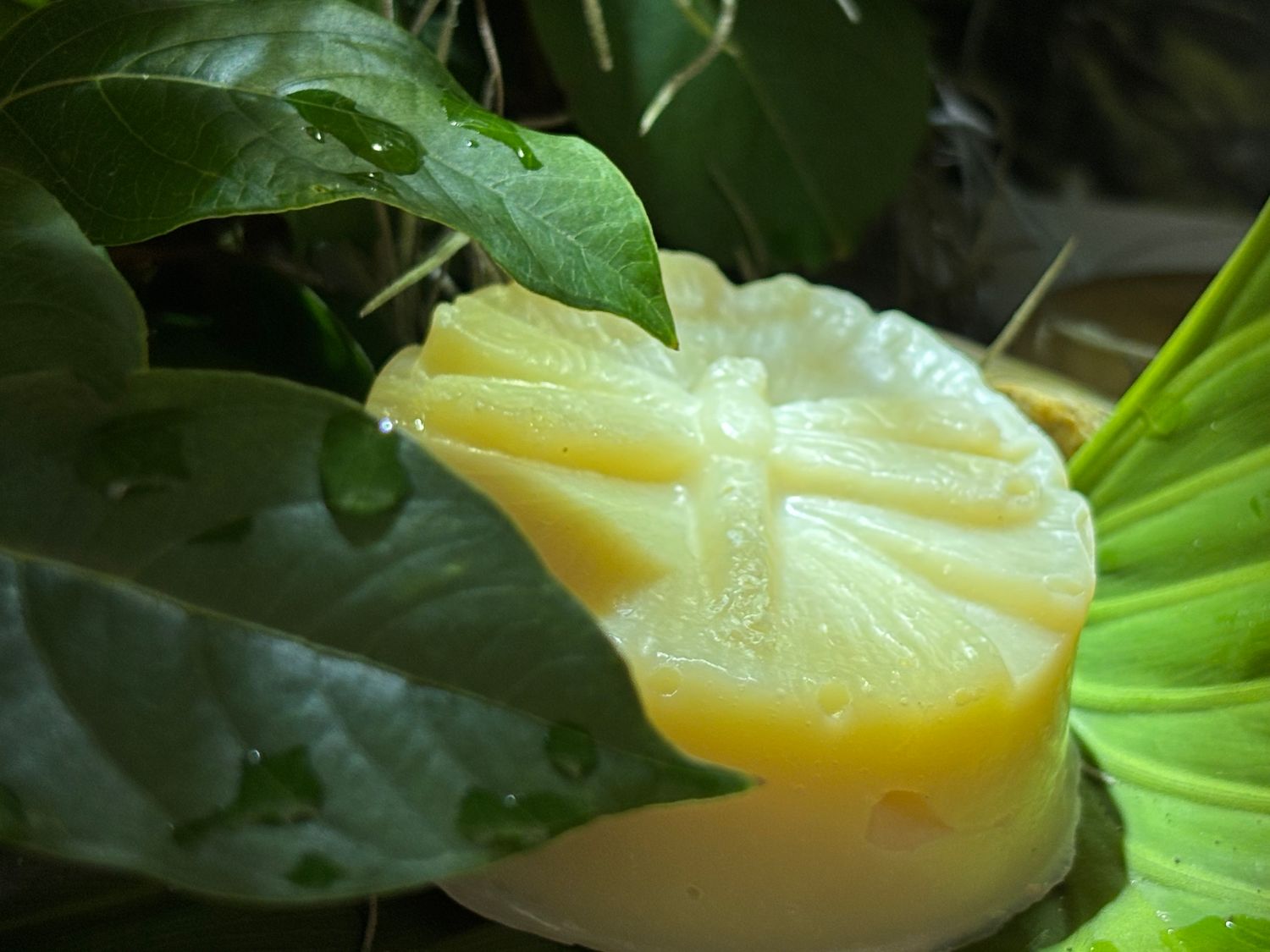 Patchouli and Tea Tree Oil Body Soap